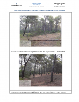 SCHEDA_FOTO_-fg-51-Plla-761-Interv-Prevenz-Antincendio-MetapontoL-thumb