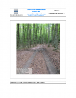 STRADA-CASERMA-FORESTALE-1-thumb