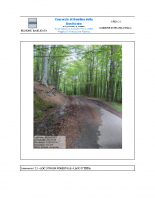 STRADA-CASERMA-FORESTALE-thumb