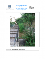 VERDE-URBANO-thumb