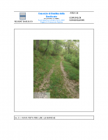 INT-3-1-1-MANUTENZIONE-PISTE-FORESTALI-thumb