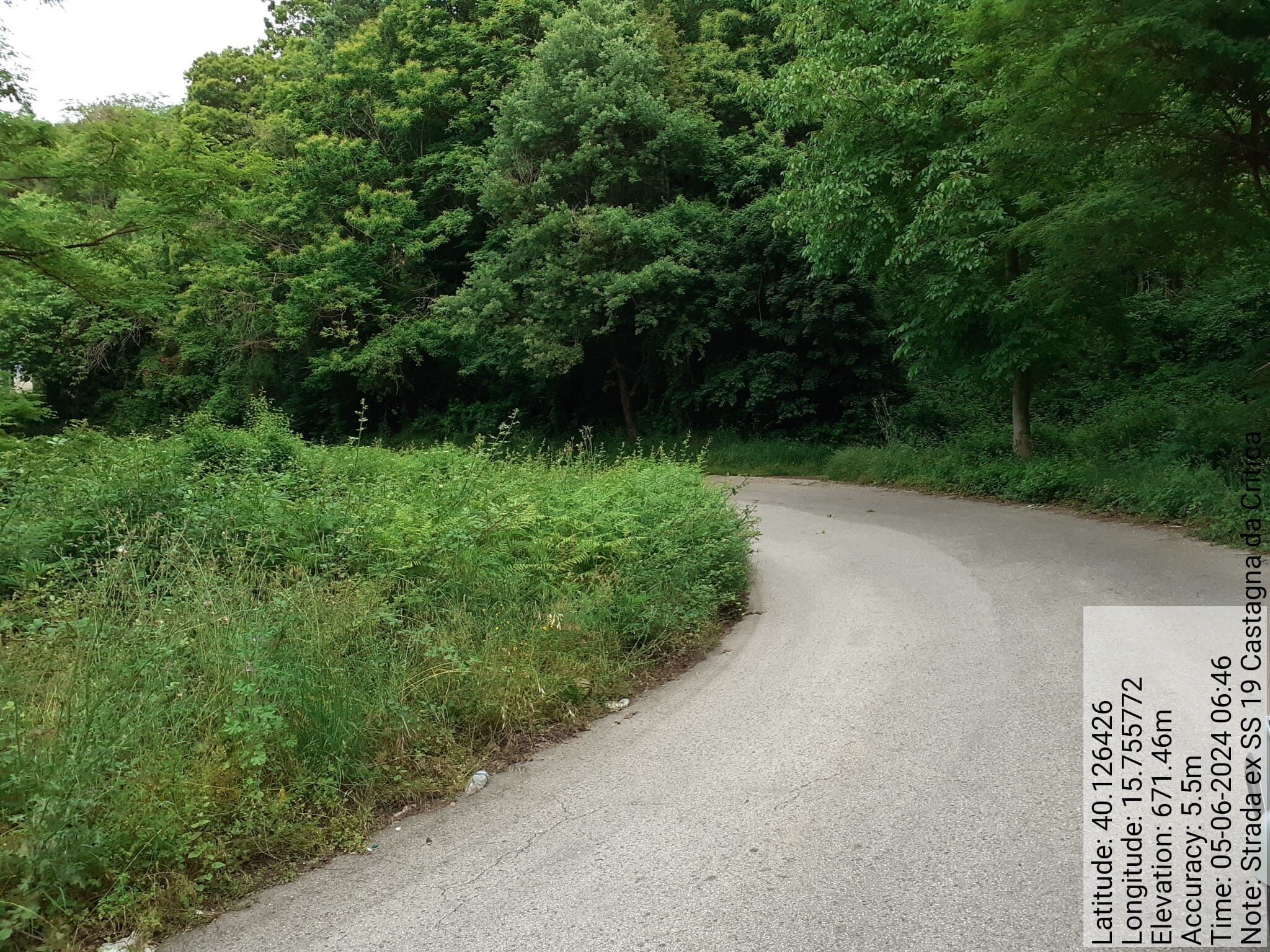 Galleria Fotografica Immagine