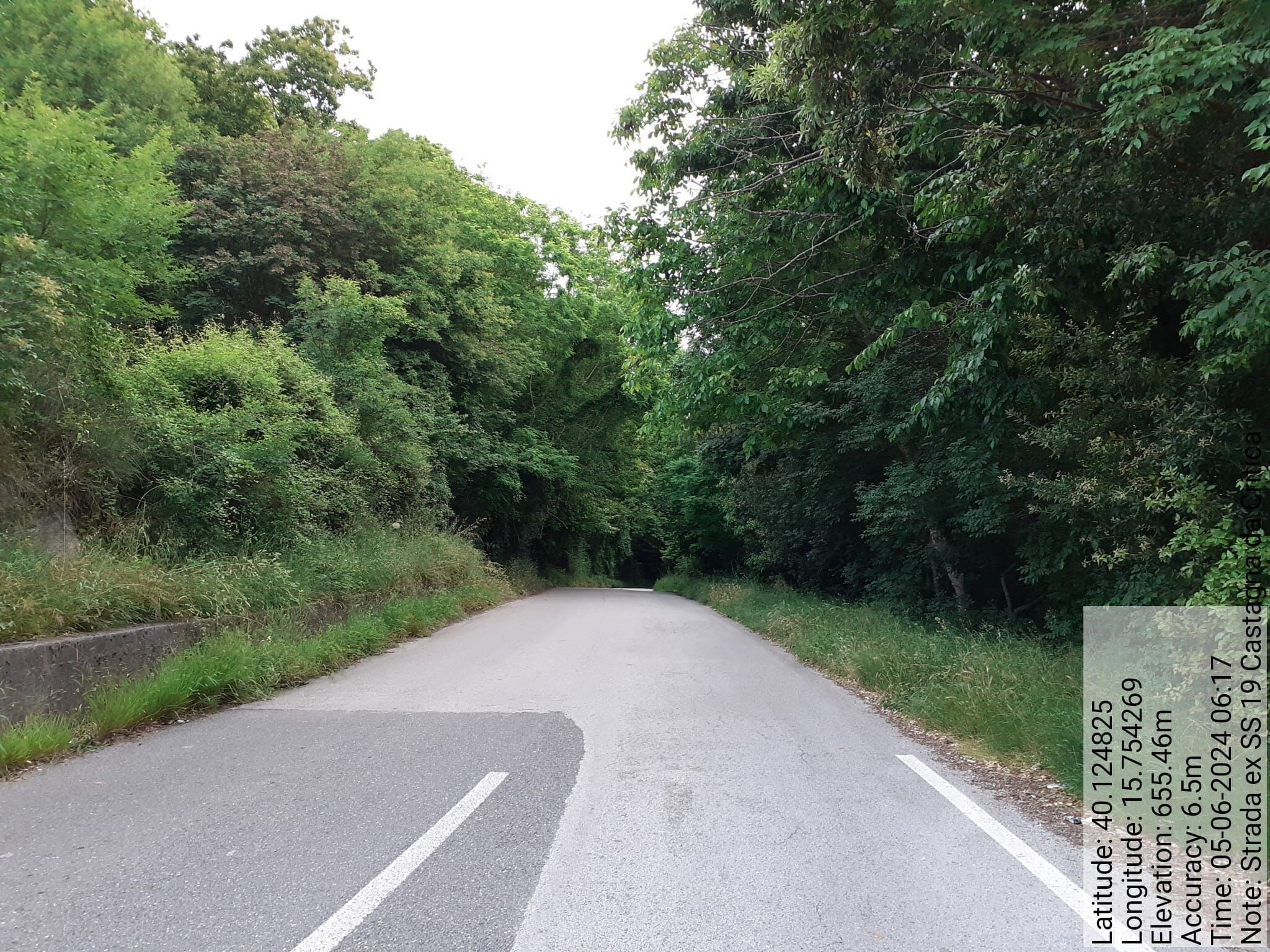 Galleria Fotografica Immagine