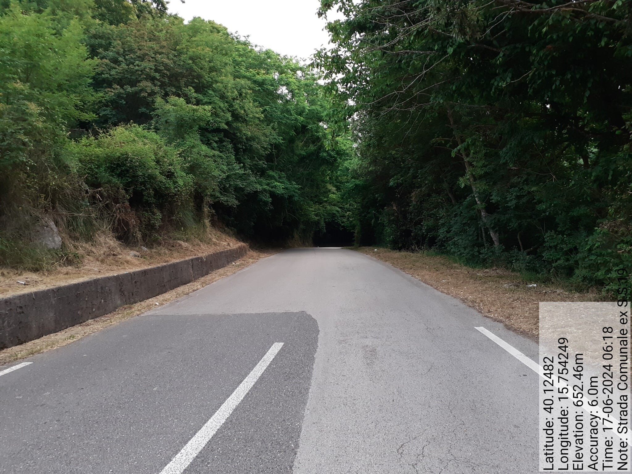 Galleria Fotografica Immagine