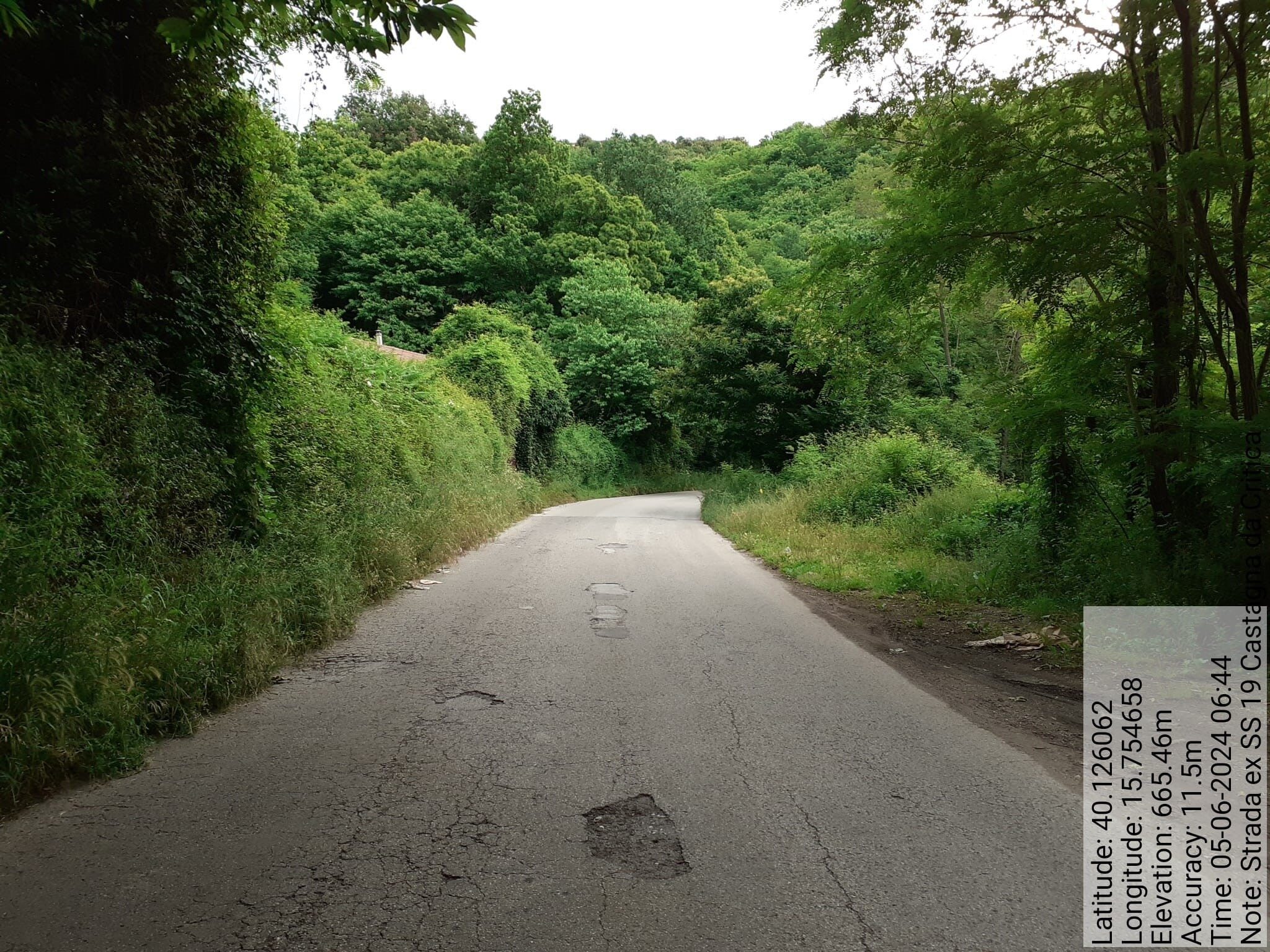 Galleria Fotografica Immagine