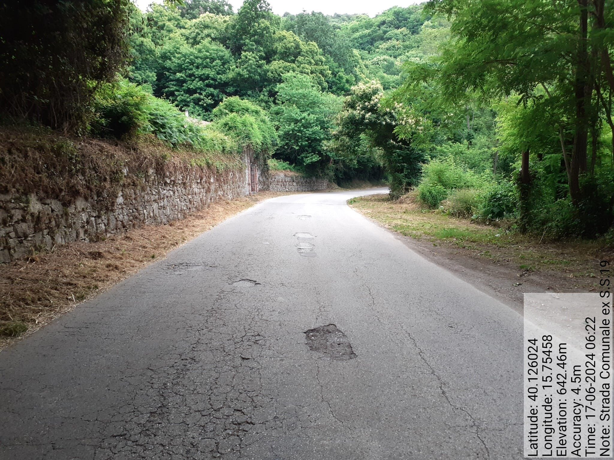 Galleria Fotografica Immagine