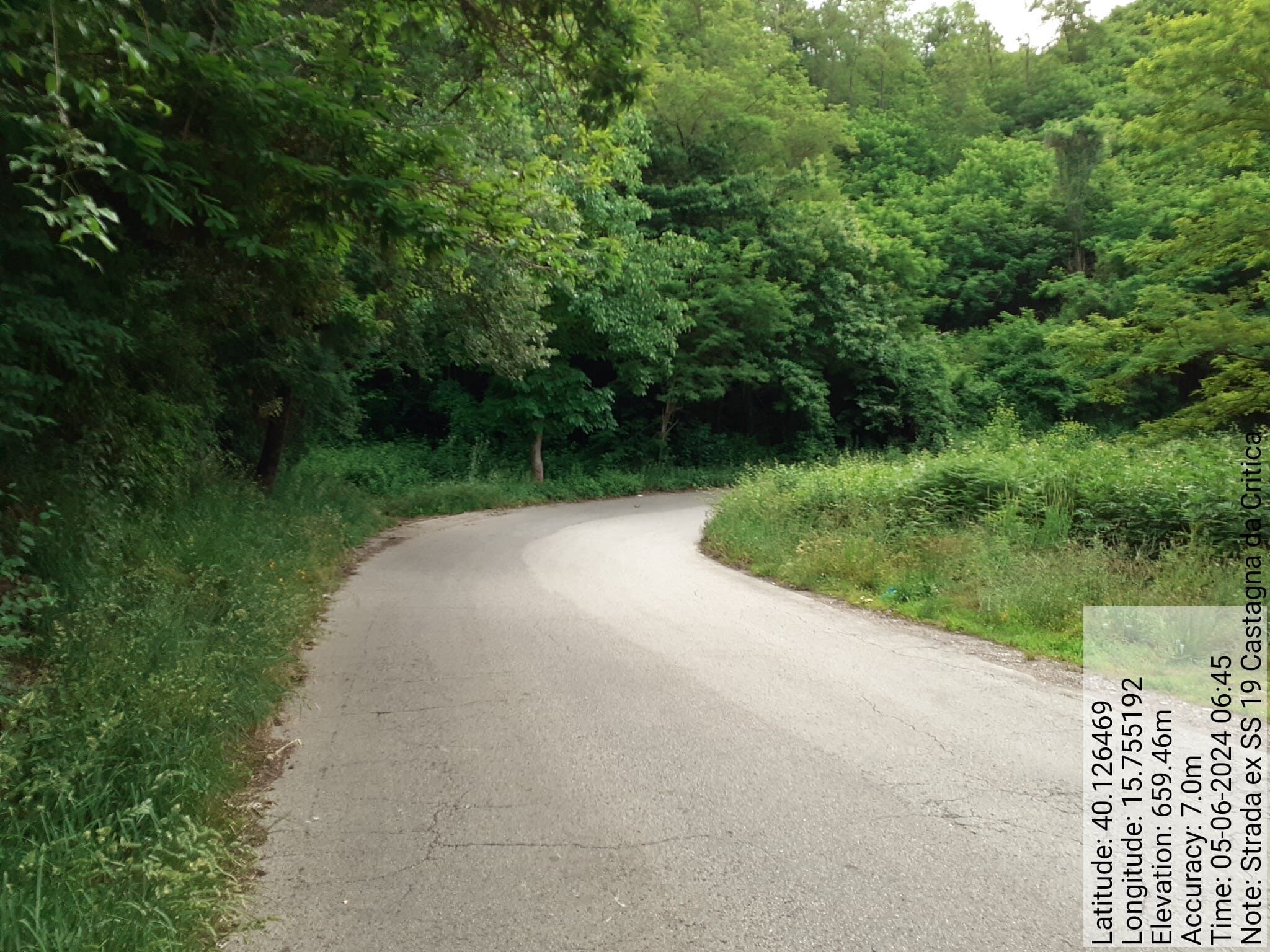 Galleria Fotografica Immagine