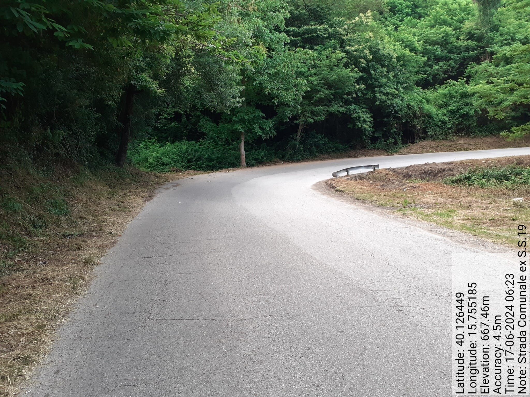 Galleria Fotografica Immagine