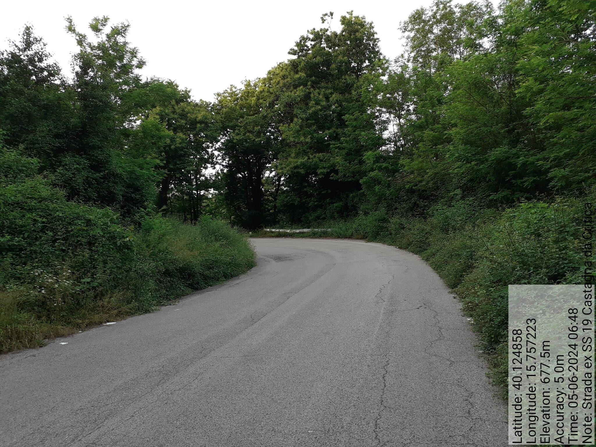 Galleria Fotografica Immagine