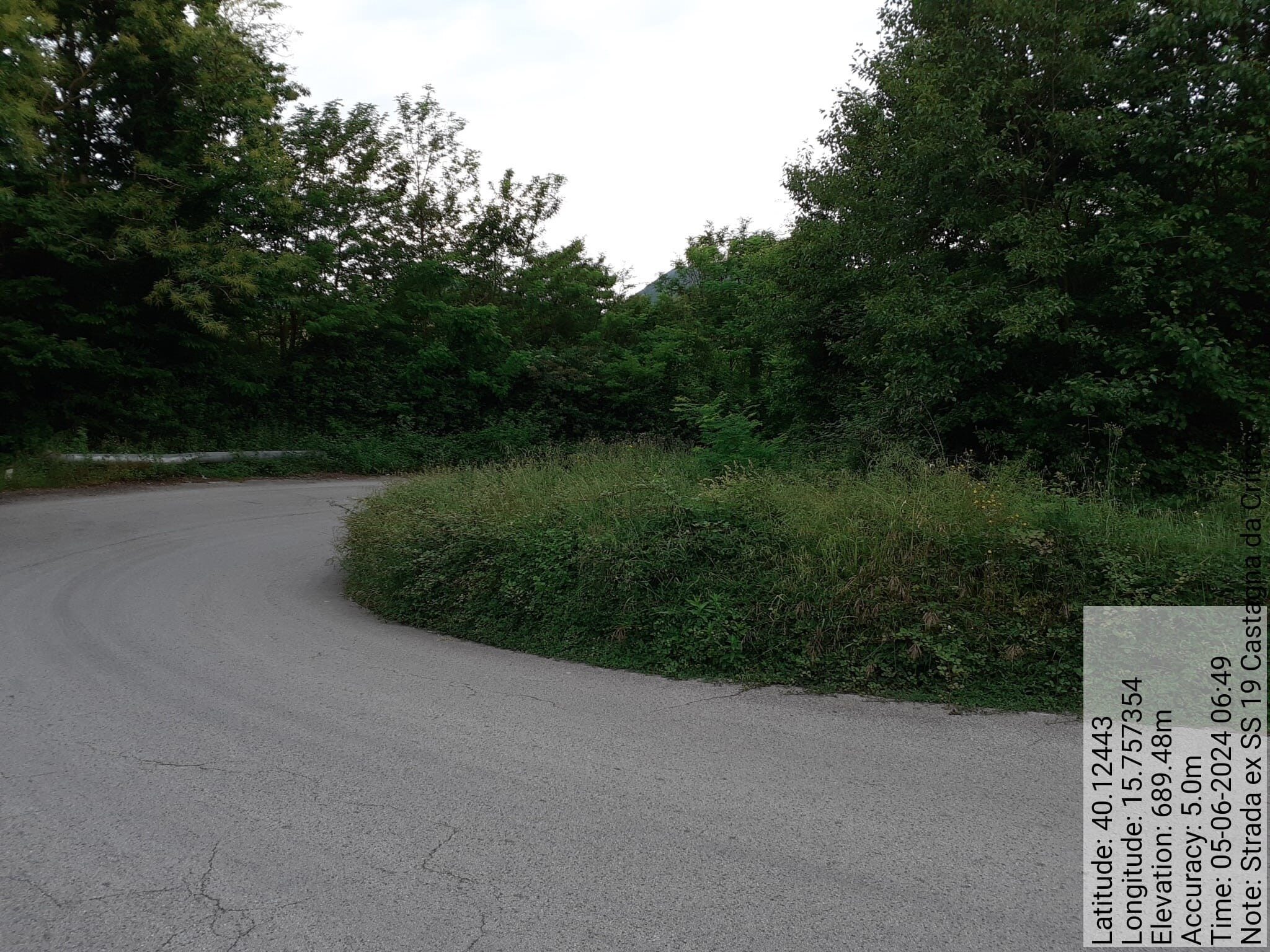 Galleria Fotografica Immagine