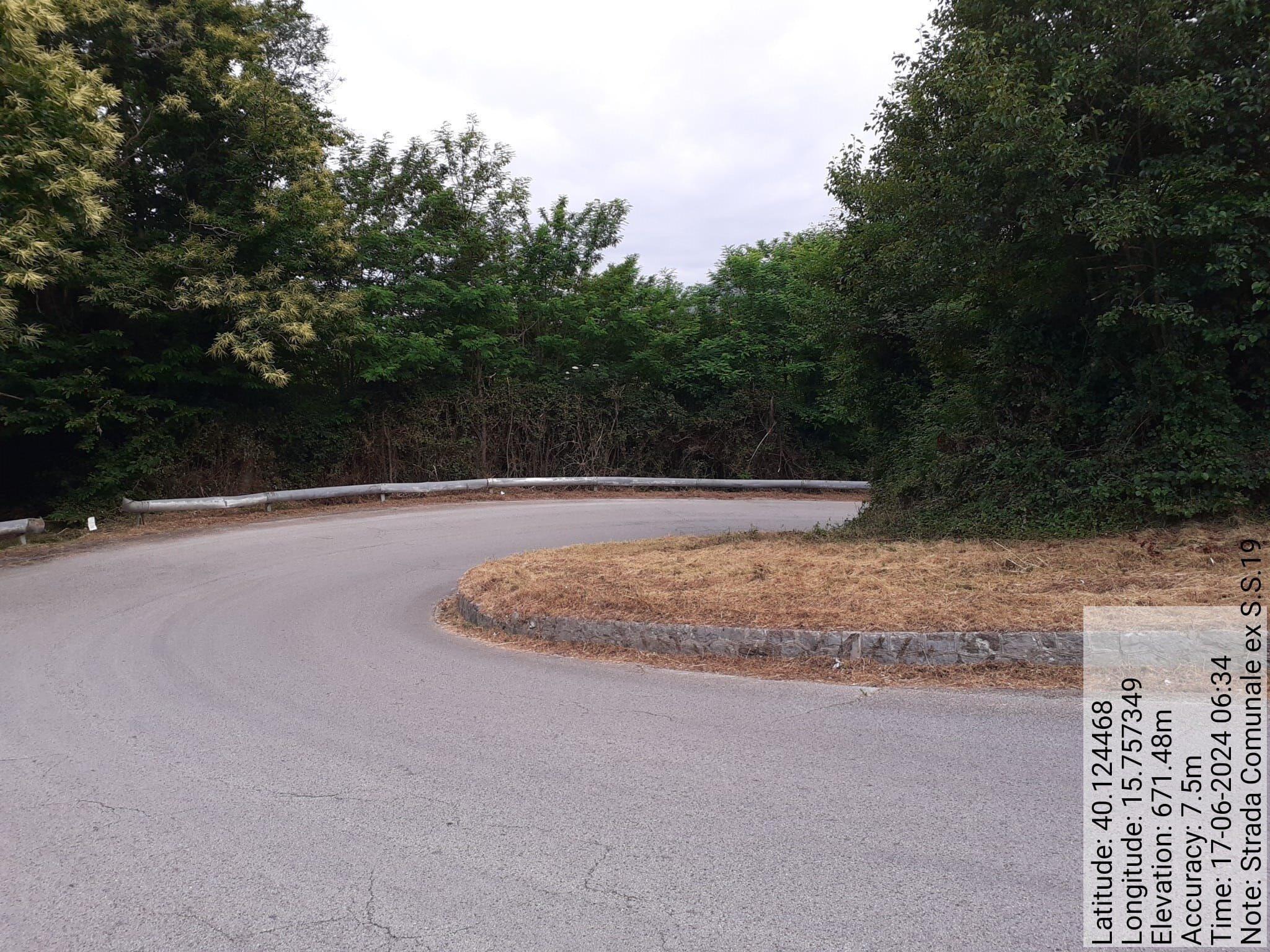 Galleria Fotografica Immagine