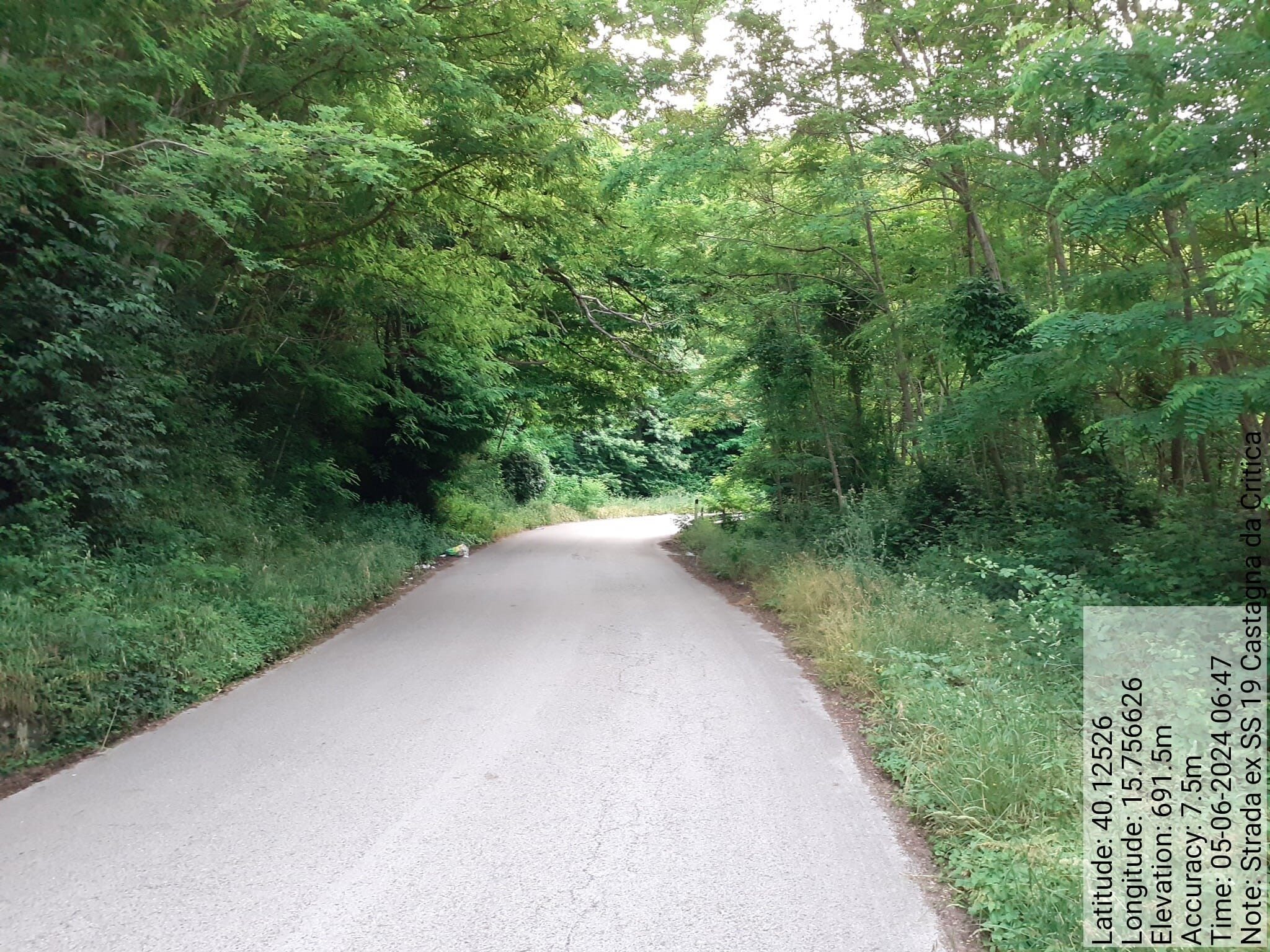 Galleria Fotografica Immagine