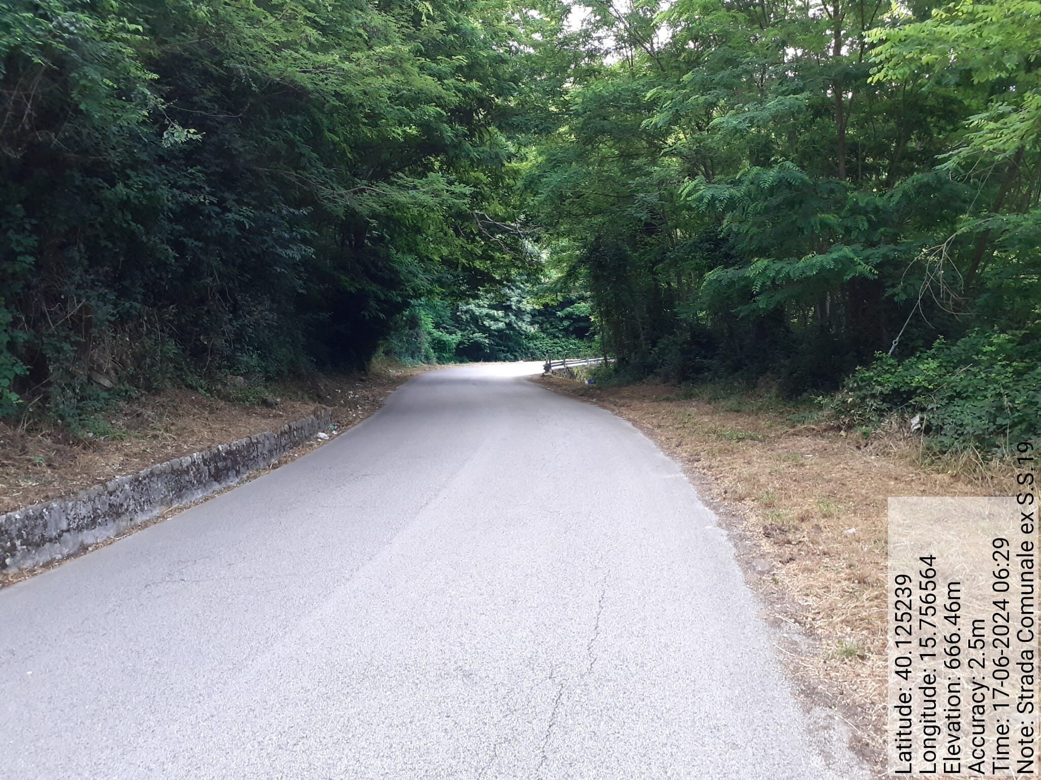 Galleria Fotografica Immagine