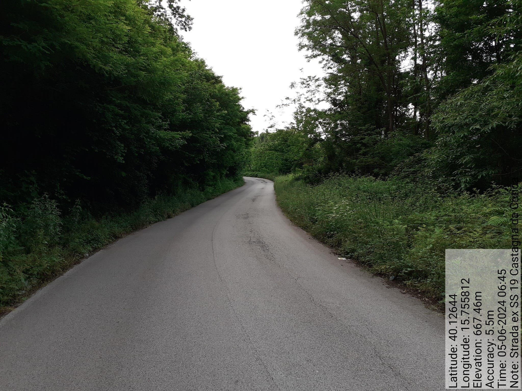 Galleria Fotografica Immagine