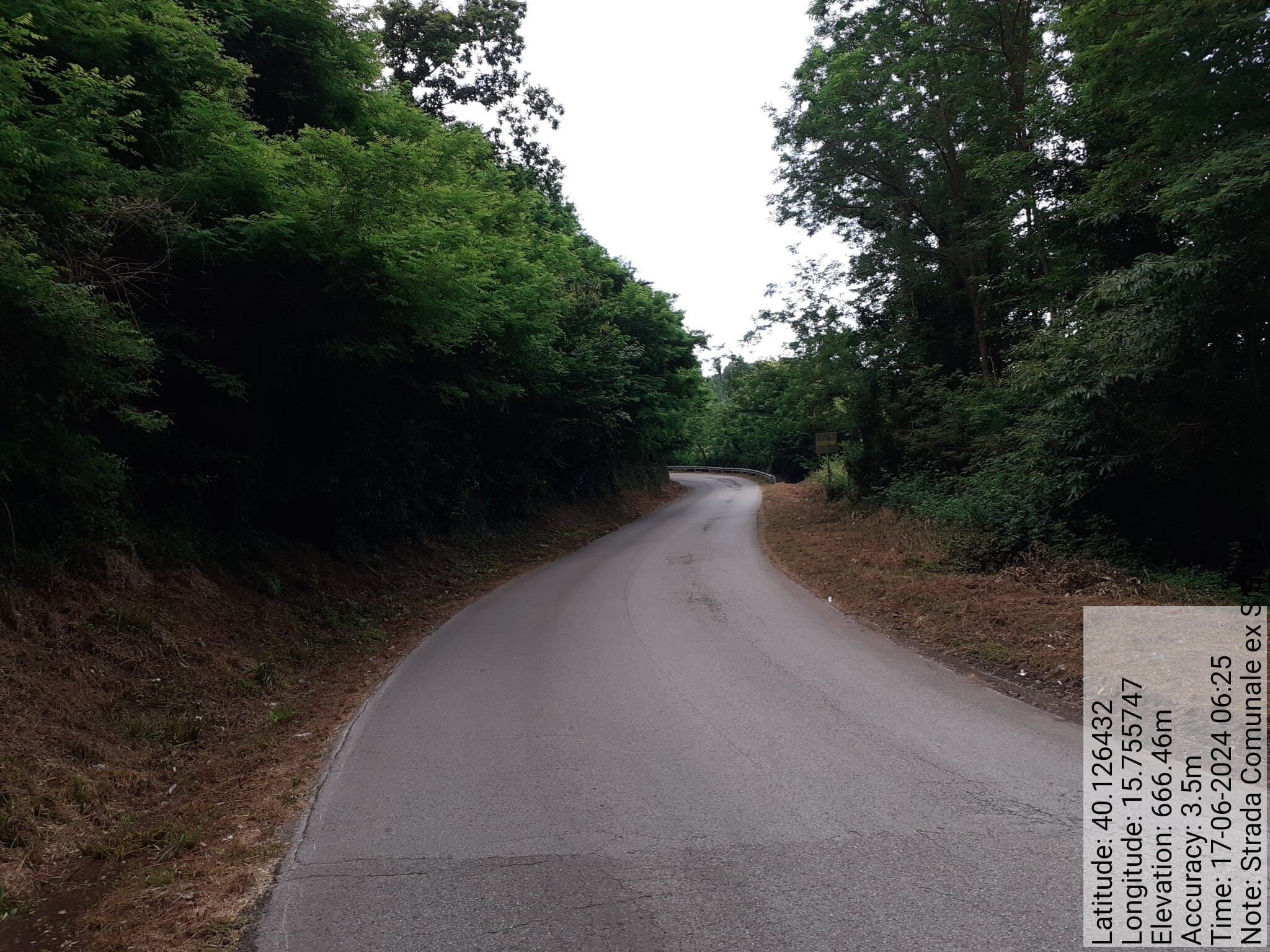 Galleria Fotografica Immagine