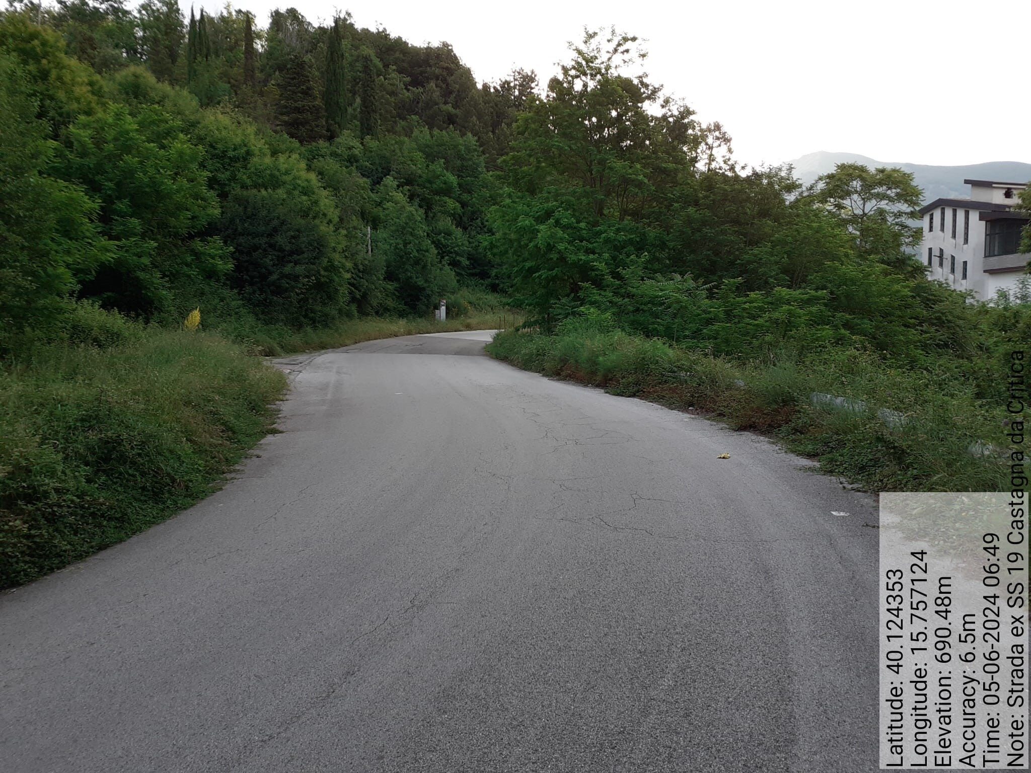 Galleria Fotografica Immagine