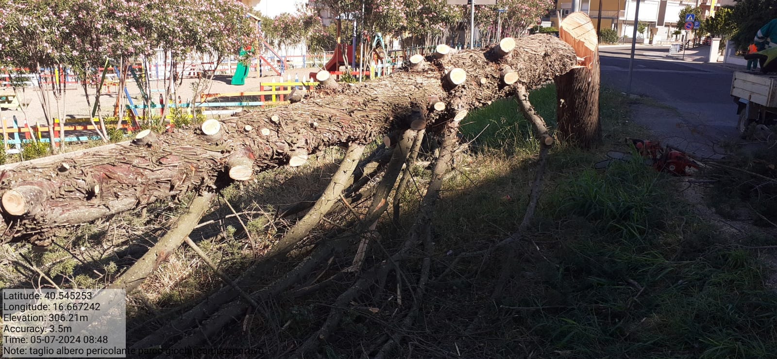 Galleria Fotografica Immagine