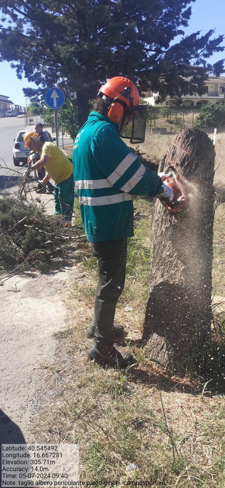 Galleria Fotografica Immagine