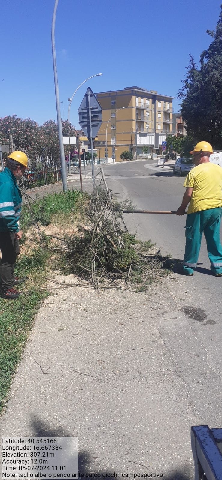 Galleria Fotografica Immagine
