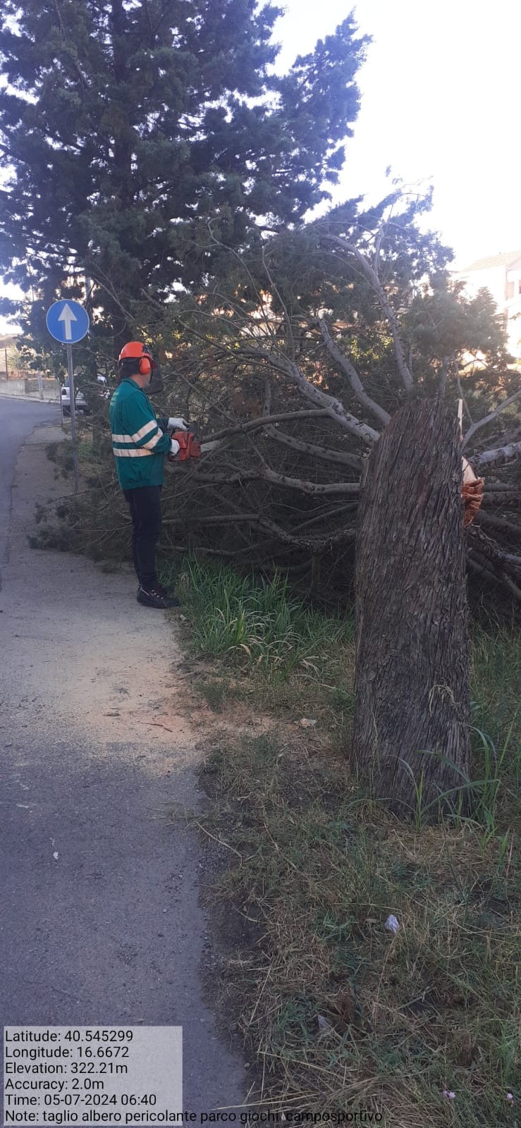 Galleria Fotografica Immagine