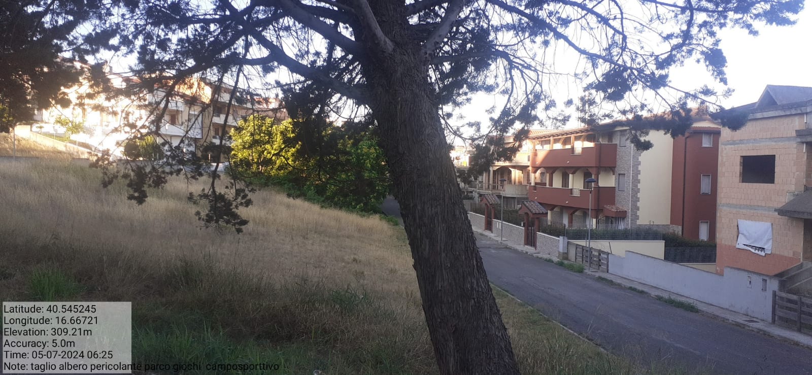 Galleria Fotografica Immagine