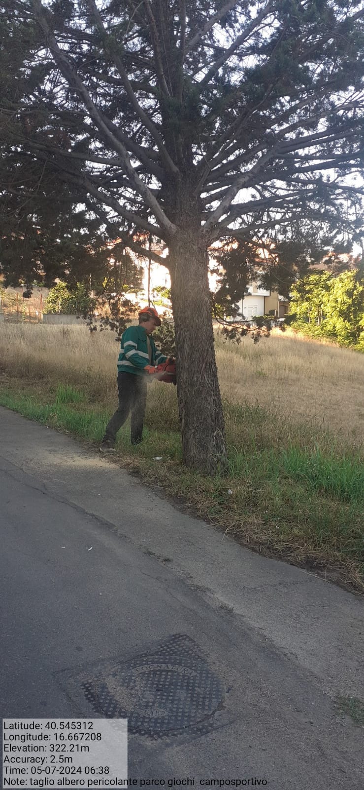 Galleria Fotografica Immagine