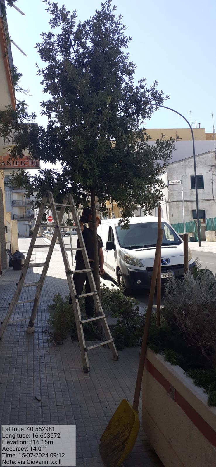 Galleria Fotografica Immagine