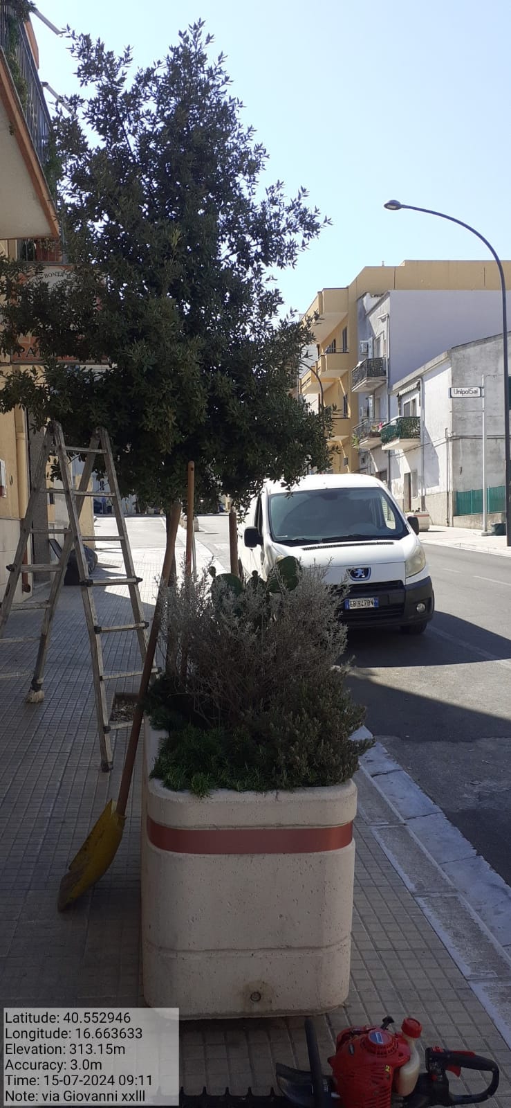 Galleria Fotografica Immagine