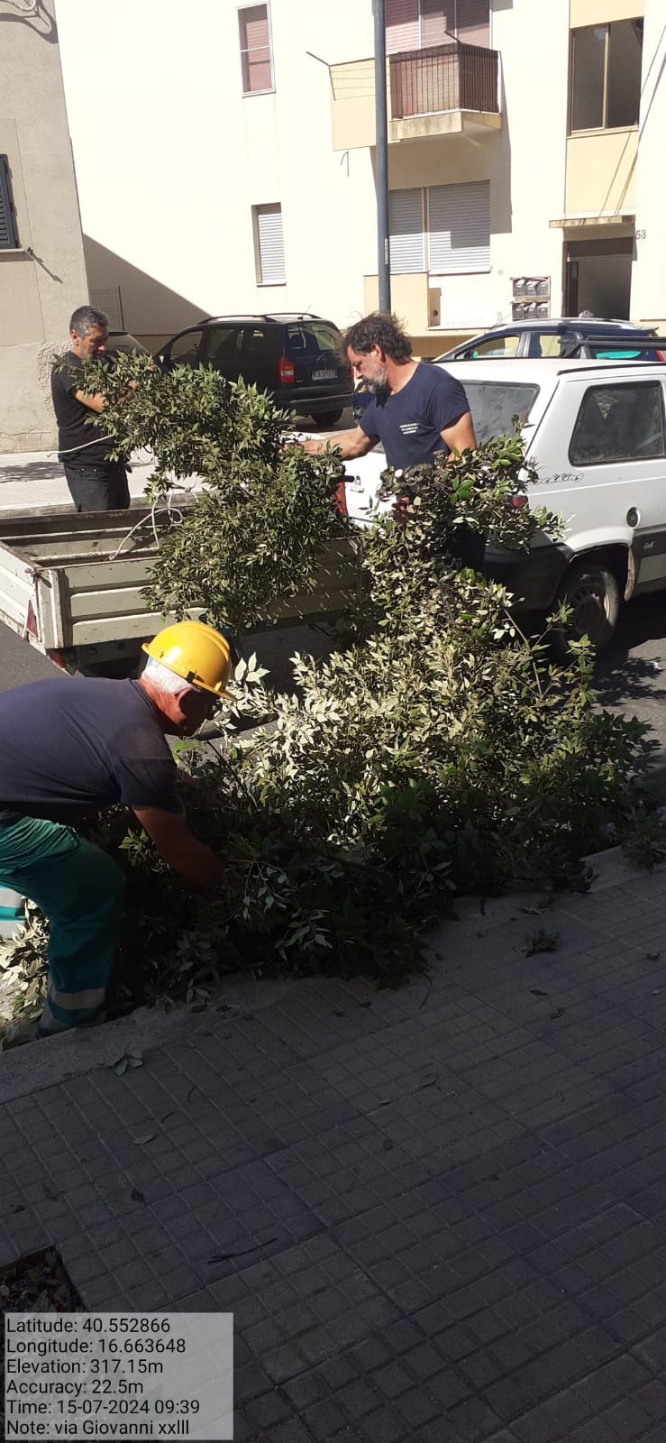 Galleria Fotografica Immagine