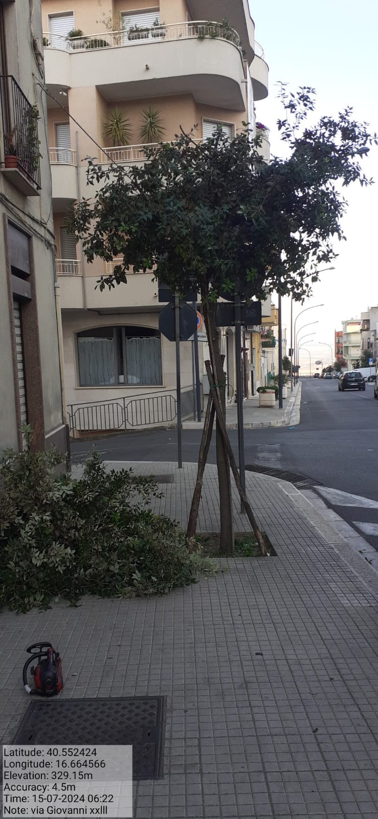 Galleria Fotografica Immagine