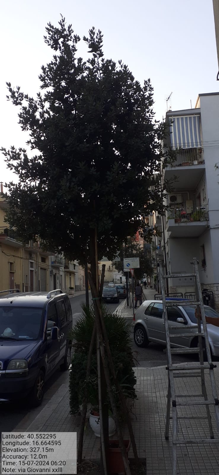 Galleria Fotografica Immagine