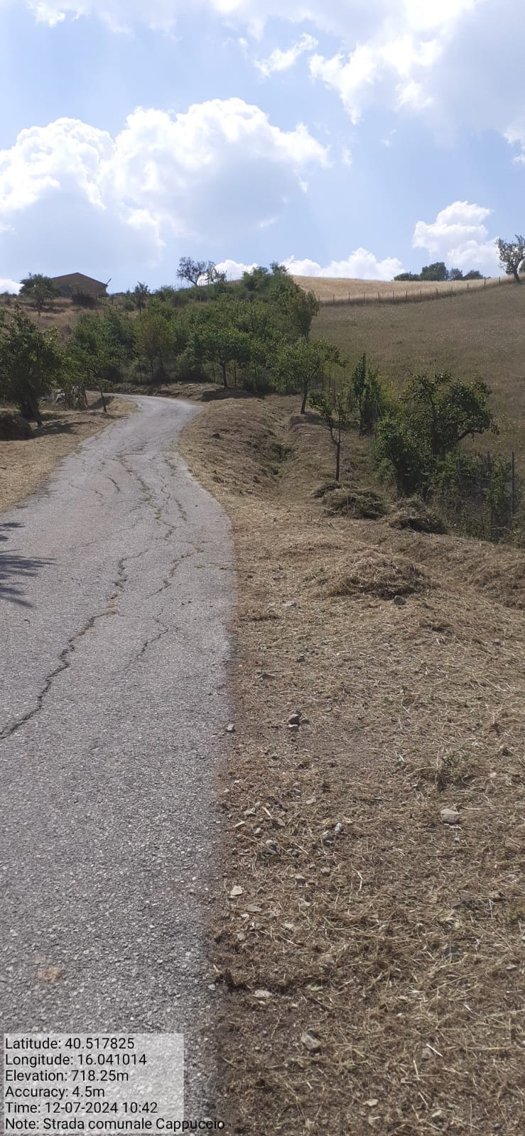 Galleria Fotografica Immagine