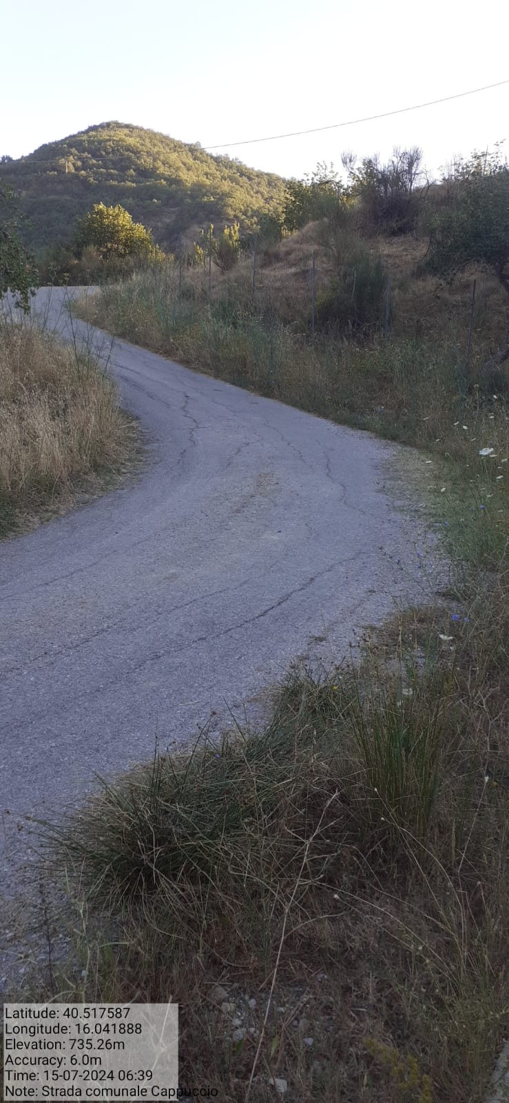 Galleria Fotografica Immagine