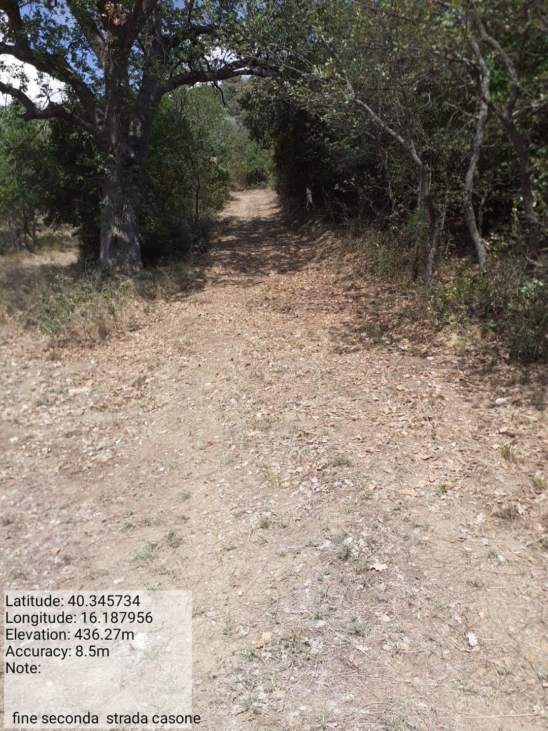 Galleria Fotografica Immagine