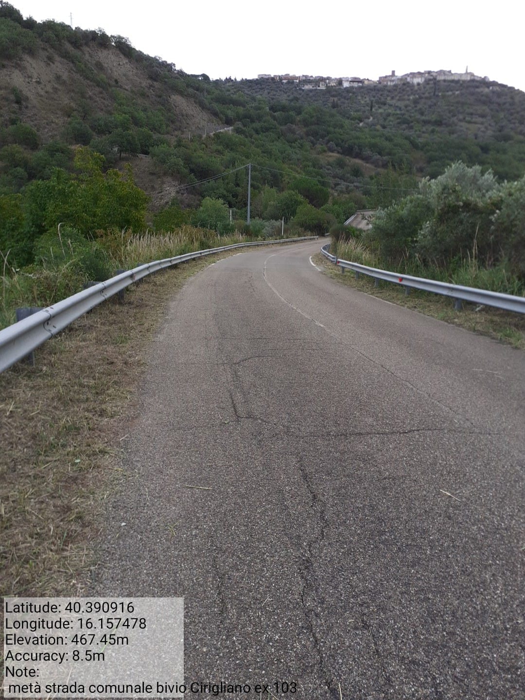 Galleria Fotografica Immagine