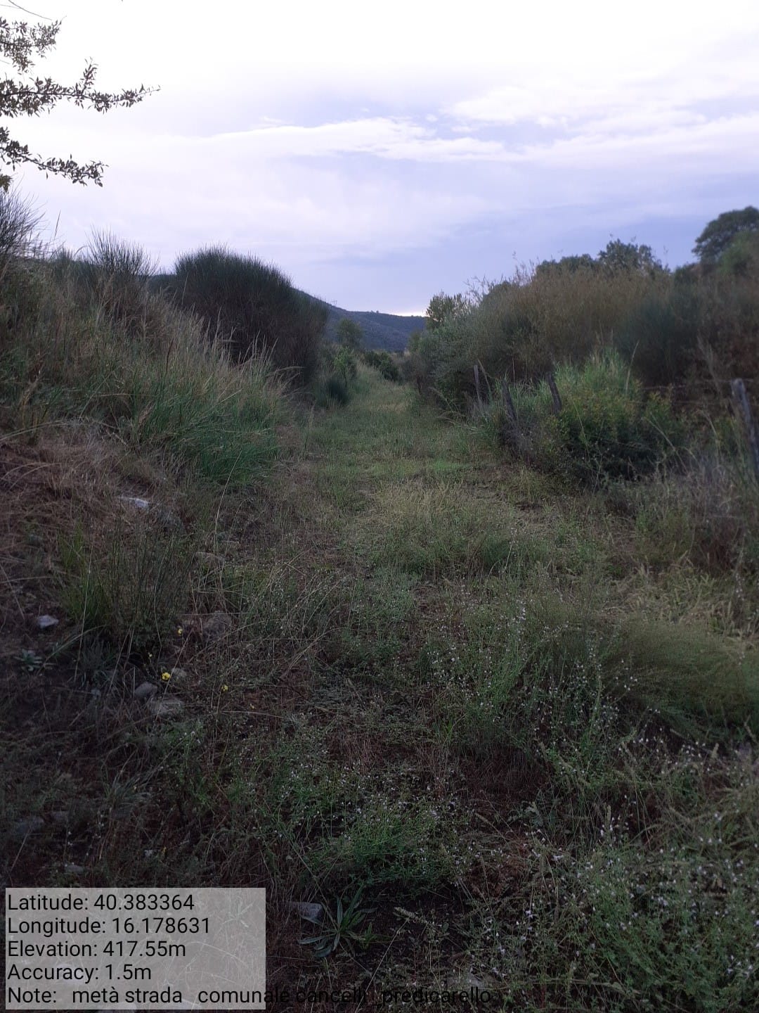 Galleria Fotografica Immagine