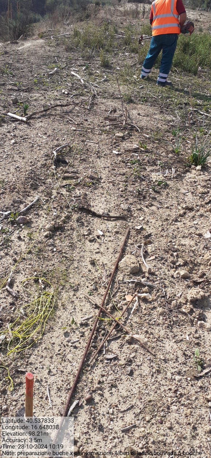 Galleria Fotografica Immagine