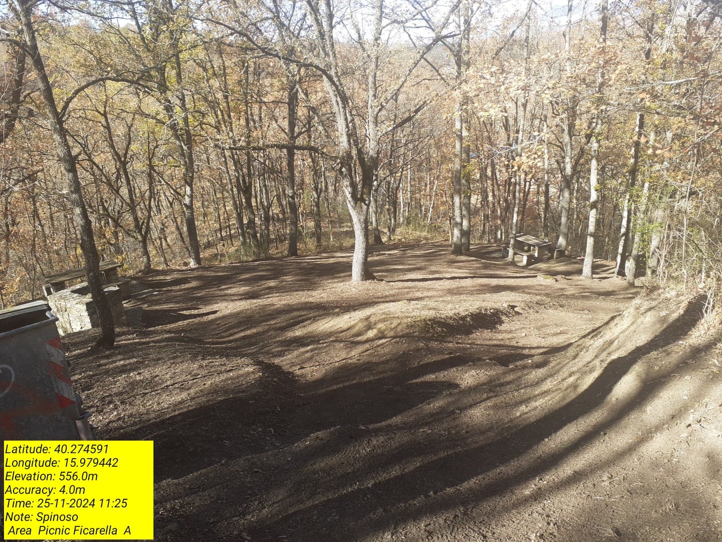 Galleria Fotografica Immagine