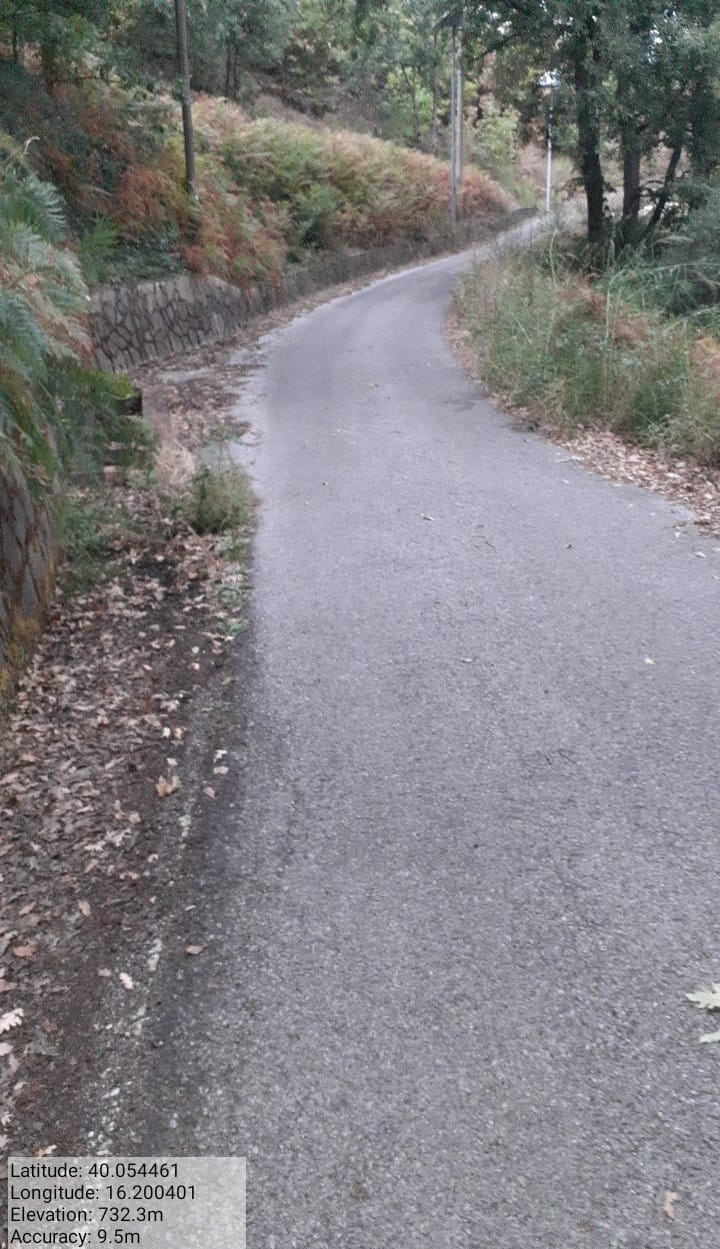 Galleria Fotografica Immagine