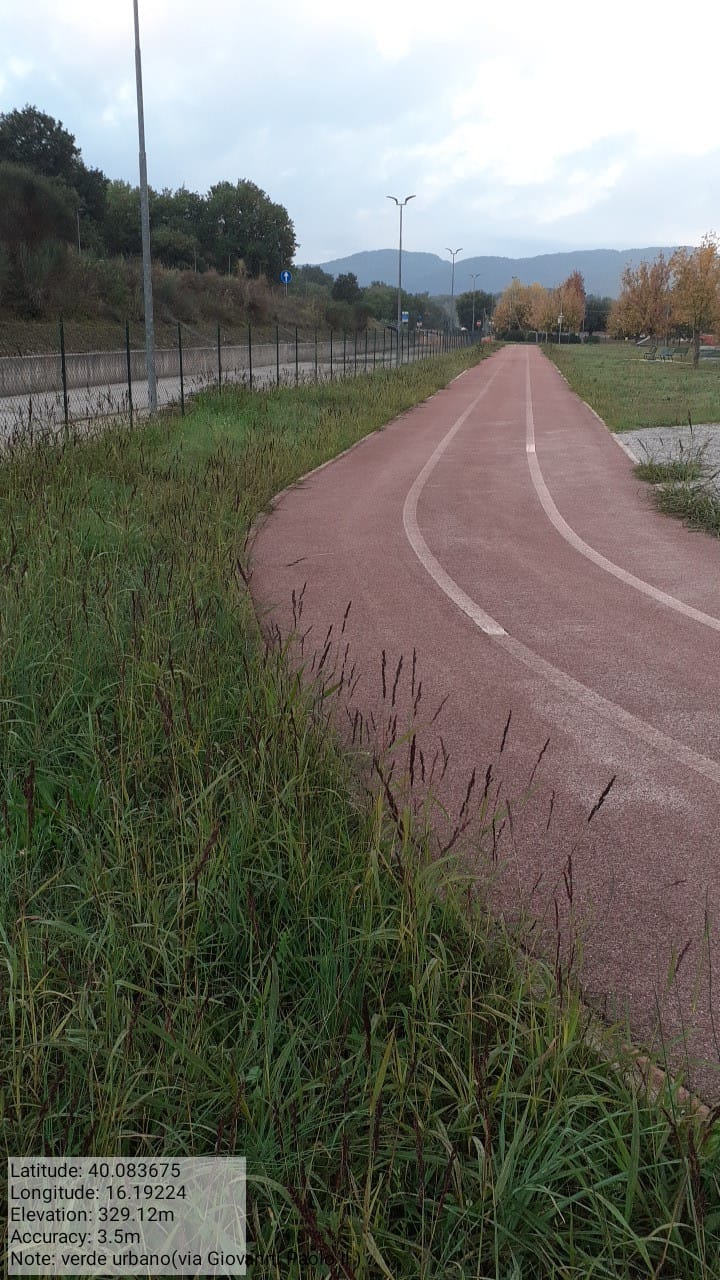 Galleria Fotografica Immagine