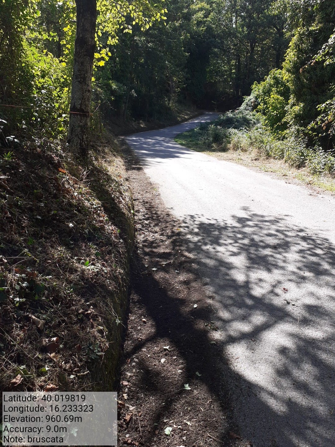 Galleria Fotografica Immagine