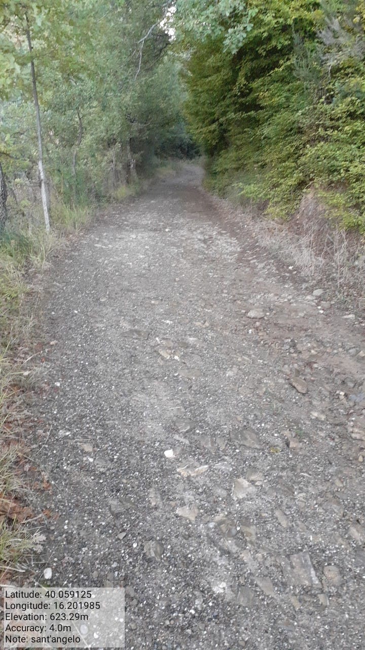 Galleria Fotografica Immagine