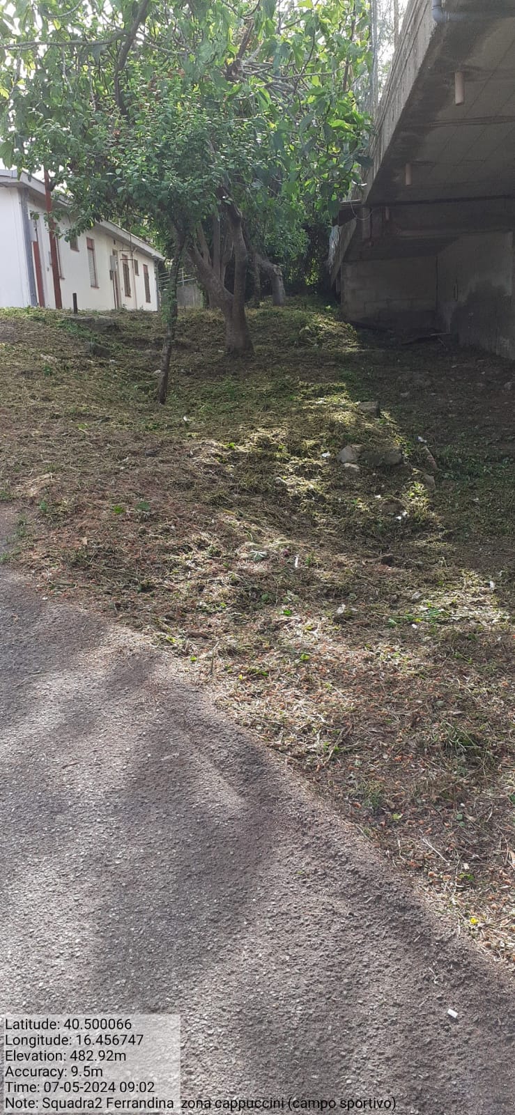 Galleria Fotografica Immagine