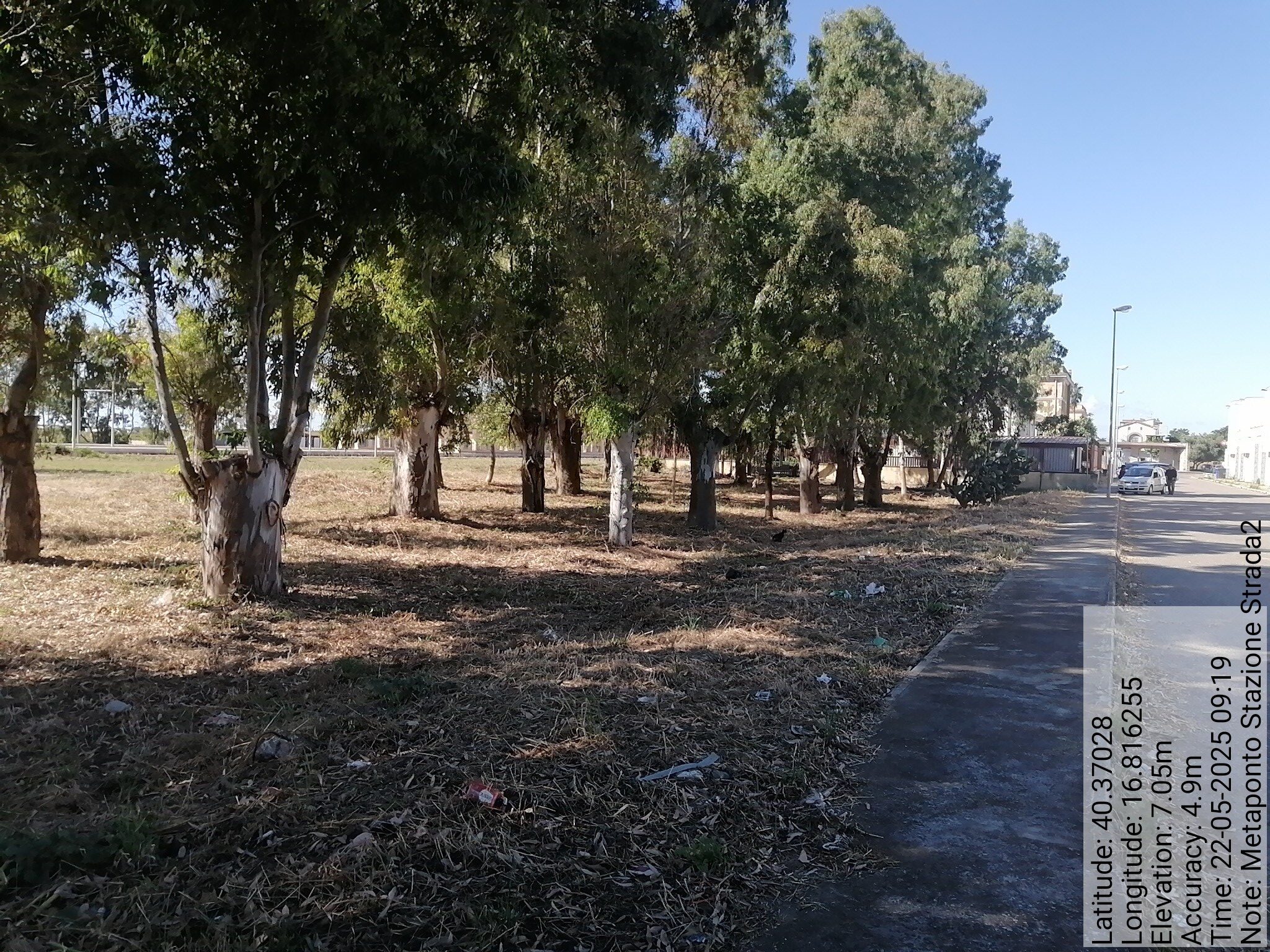 Galleria Fotografica Immagine