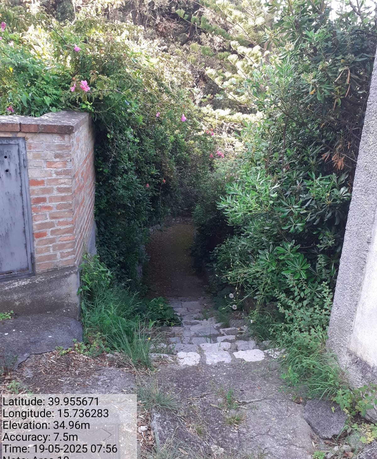 Galleria Fotografica Immagine