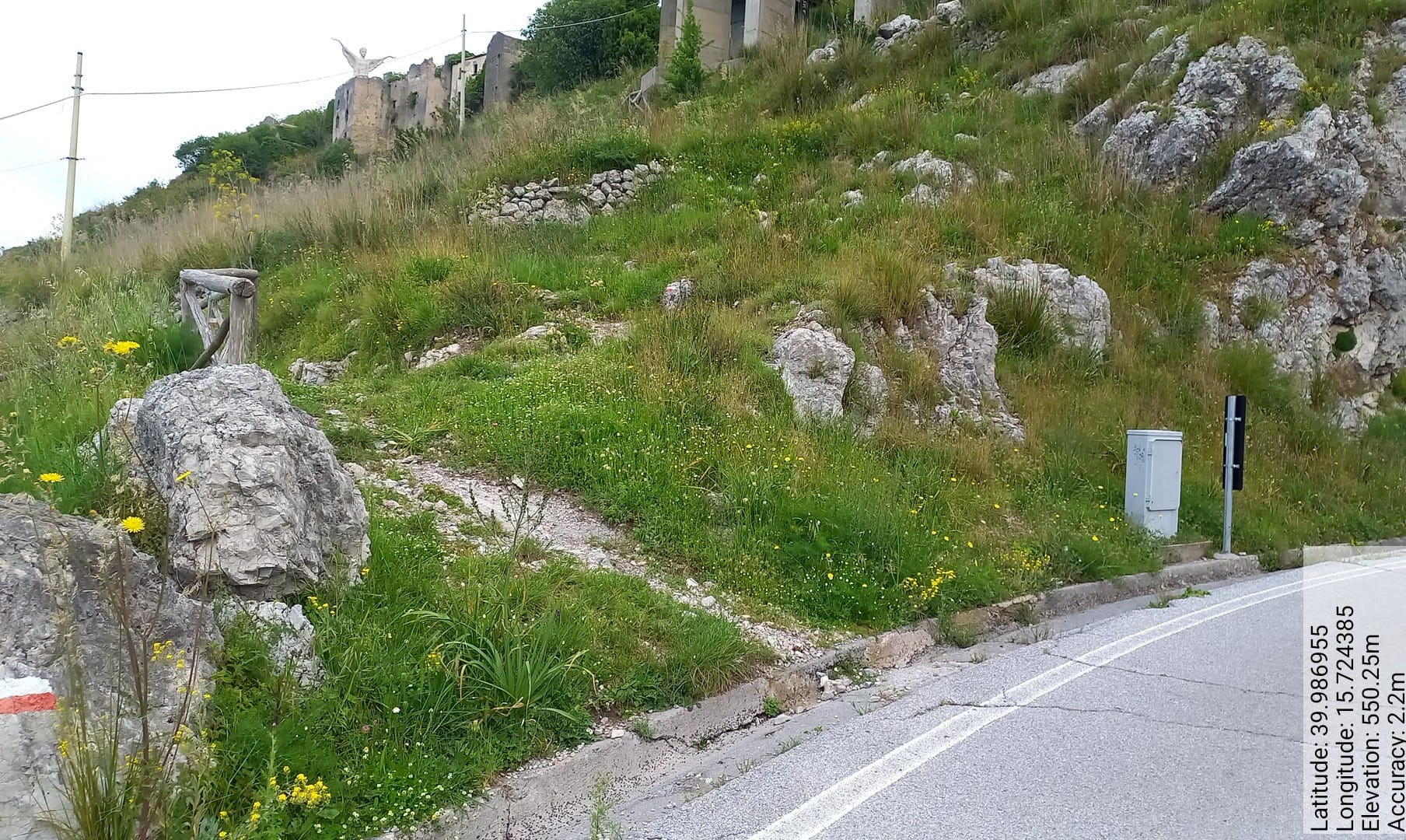 Galleria Fotografica Immagine