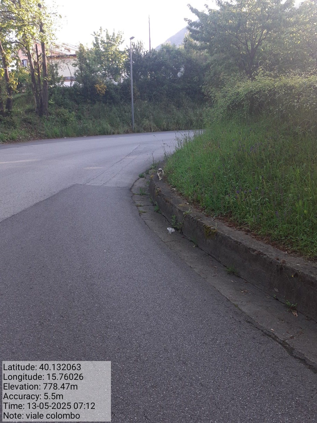 Galleria Fotografica Immagine