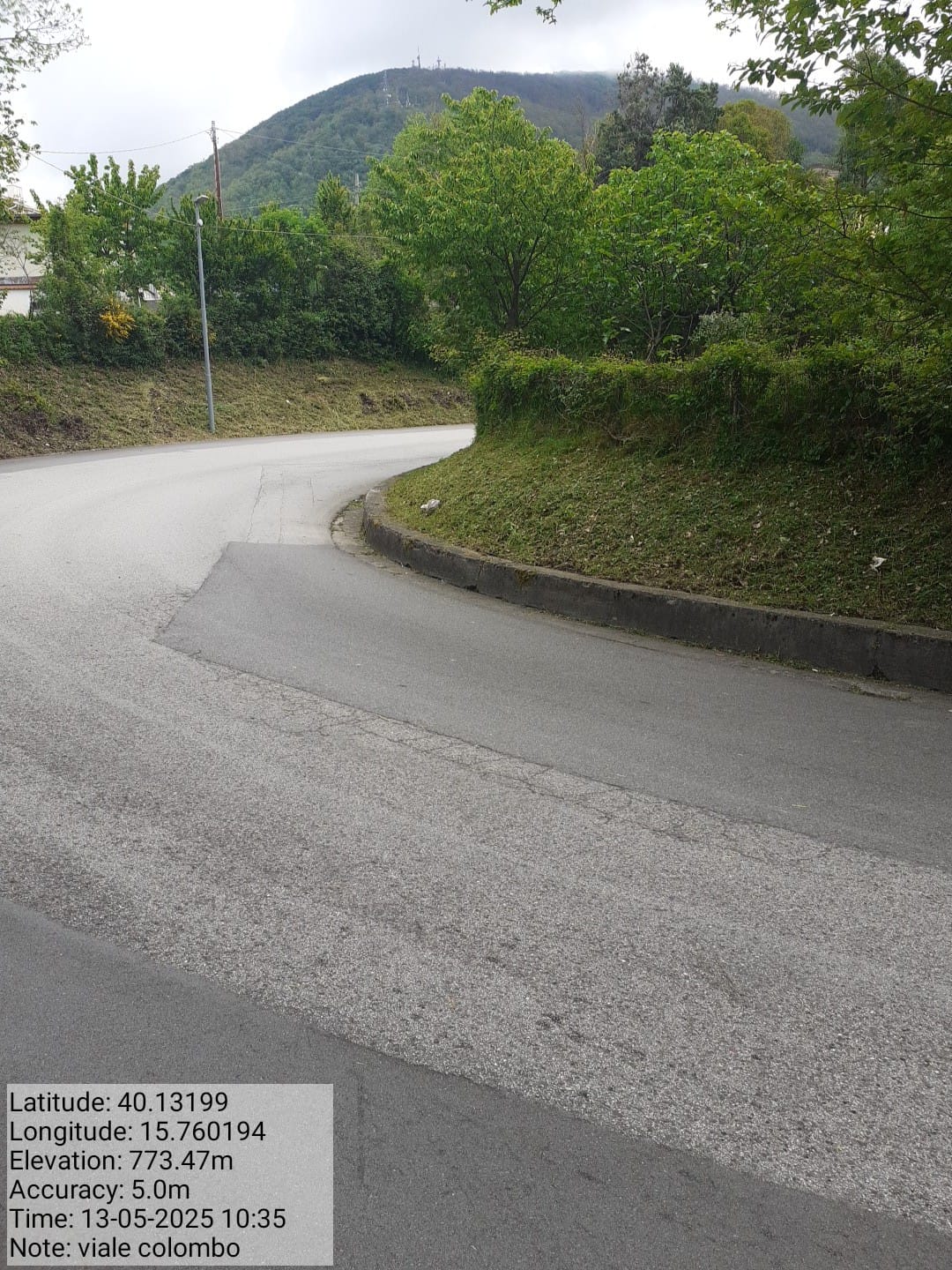 Galleria Fotografica Immagine