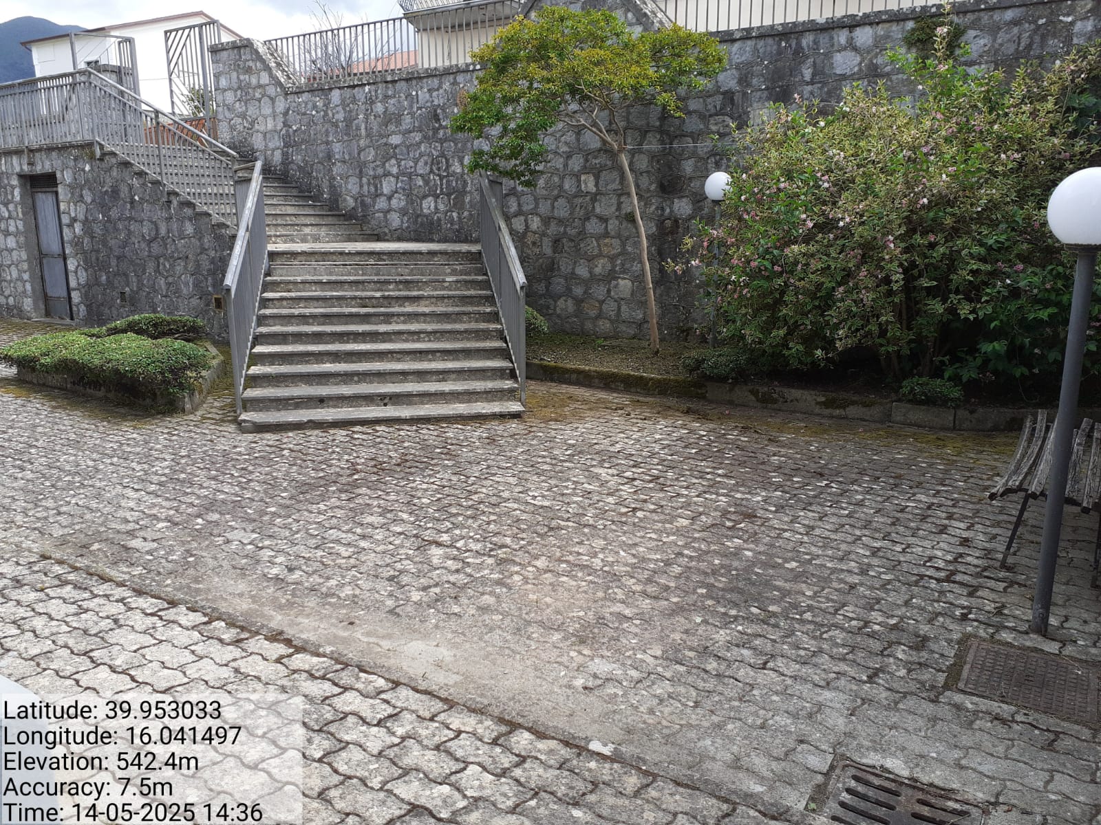 Galleria Fotografica Immagine