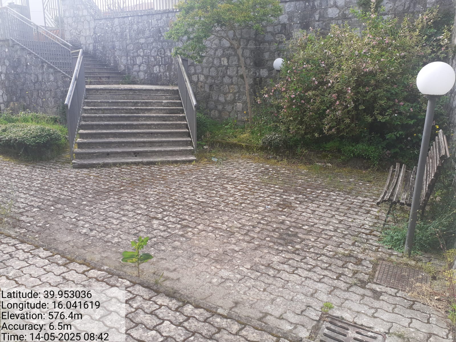 Galleria Fotografica Immagine